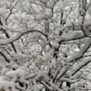 Meet your Posher, Odeth